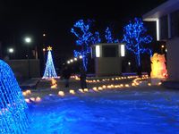 第10回光と氷りのオブジェ会場の木にブルーライトのイルミネーションが輝いている光景です。