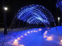 2017年光と氷のオブジェのメインとも言われるトンネルの風景。