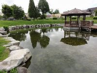 公園内の池の風景2