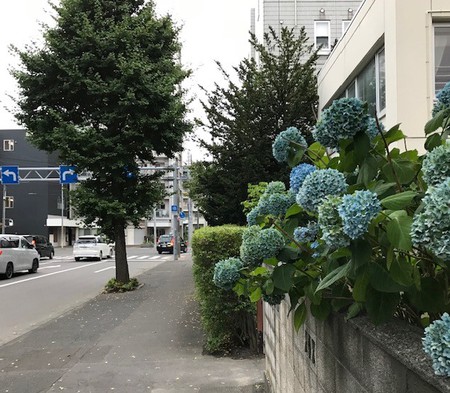 涼しい