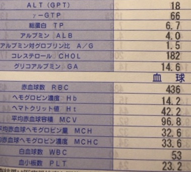 何もいいことがない・・・ 何もいいことがない・・・
