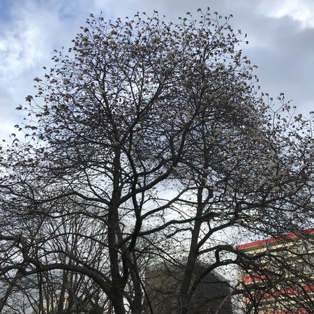 春なのに・・ 春なのに・・