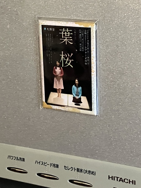 「葉桜」千秋楽