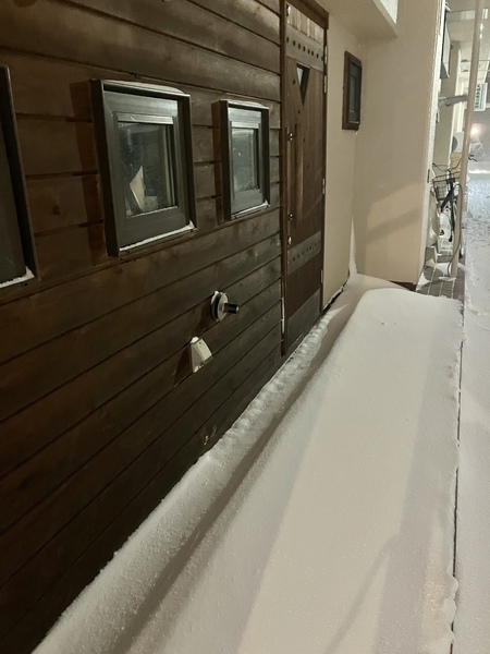 今日は暴風雪
