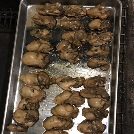 今日はボウズの予定
