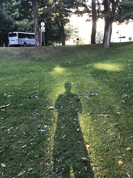 散歩 散歩
