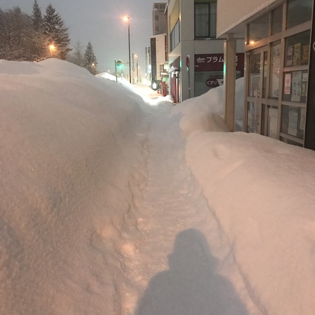 ずーとヒマ ずーとヒマ