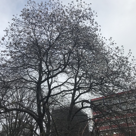 春なのに・・ 春なのに・・