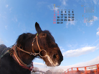 2012年1月カレンダー