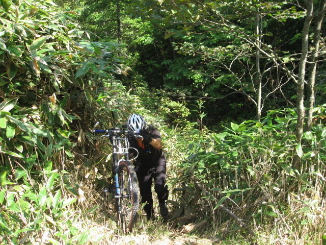 MTB写真追加(みらいさん撮影)