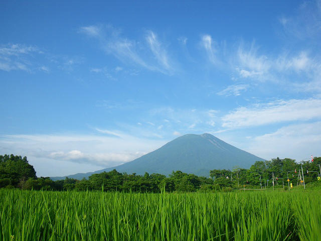 紫陽花寺にサイクリング!