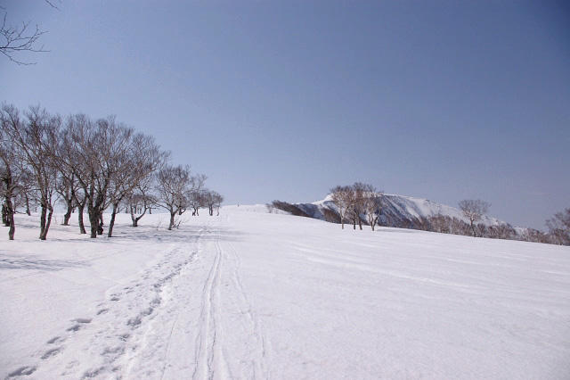 無意根山元山コース(1464m)