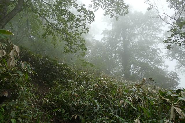 風不死岳(1102.5m)北尾根コース