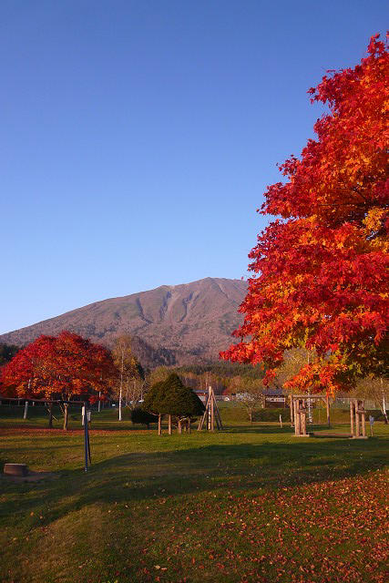 羊蹄山山頂～麓の紅葉