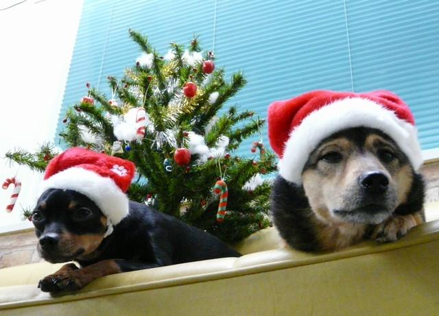 とりあえずクリスマス