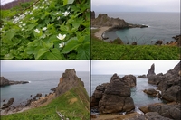 積丹半島ぐるっとツーリング
