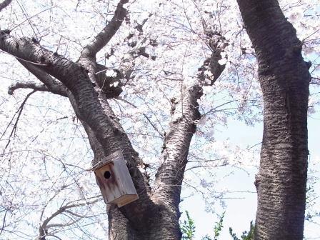 いま何歩?No.197~249 2014年版 いま何歩?No.197~249 2014年版