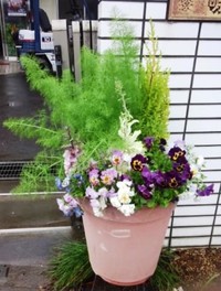 今何歩?2015版 画像だけぇ~ 今何歩?2015版 画像だけぇ~