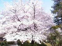 今何歩?2015版 画像だけぇ~ 今何歩?2015版 画像だけぇ~