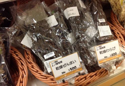 どさんこプラザ札幌店で今月下旬から「菜の花油」テスト販売予定