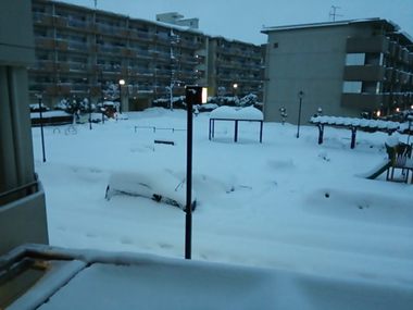 大雪の三多摩で