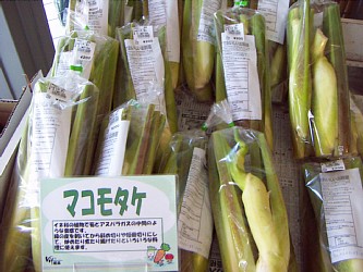 信州道中で 気になったモノ