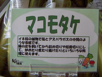 信州道中で 気になったモノ