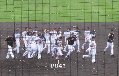 今年もファイターズが帯広にやってきたよ！