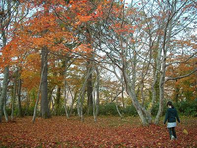 意地でも治す