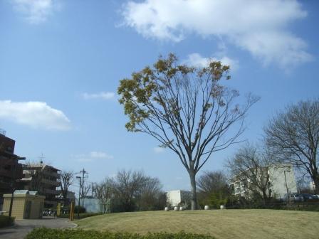 うんどうぎらい
