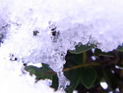 とうきょう初積雪