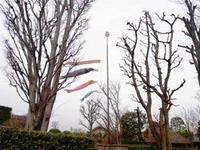 いま何歩?No.95~ 2012年版
