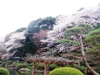 いま何歩?No.95~ 2012年版