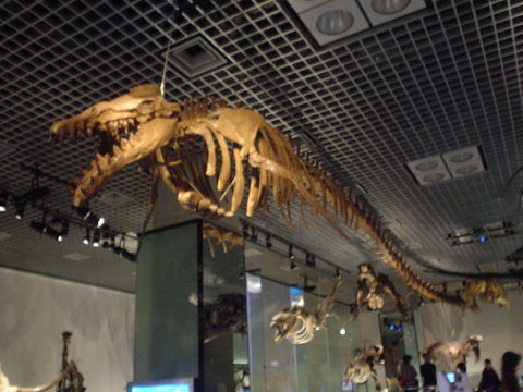 新生代（4）-第三紀(4)-バシロサウルス