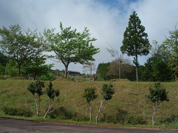 熊野古道2（大雲取越）