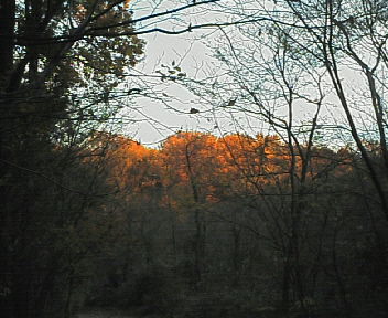 野山北公園
