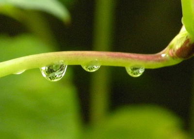 雨上がりに挑戦