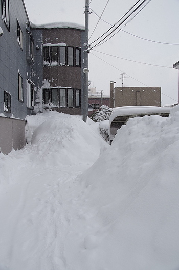 やっと…排雪が終わりました