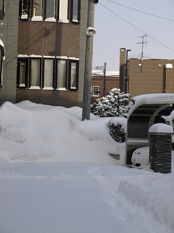 やっと…排雪が終わりました