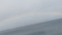 何年ぶりかに海を見たが、虹もいた