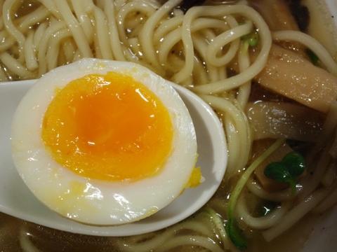 麺や ひだまり (千駄木) 全部入り和塩らぁ麺