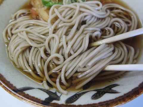 そば處 かずみ (川崎大師) 天ぷらそば