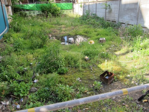 中華そば 二代目 にゃがにゃが亭 (三河島)　中華そば