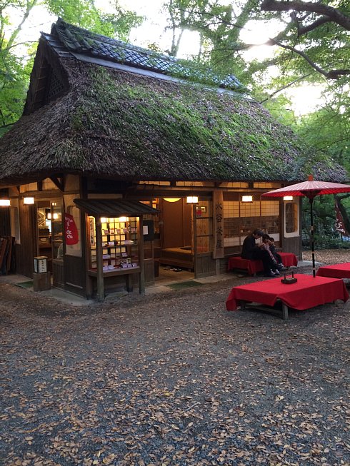 奈良公園に行ってきたよ