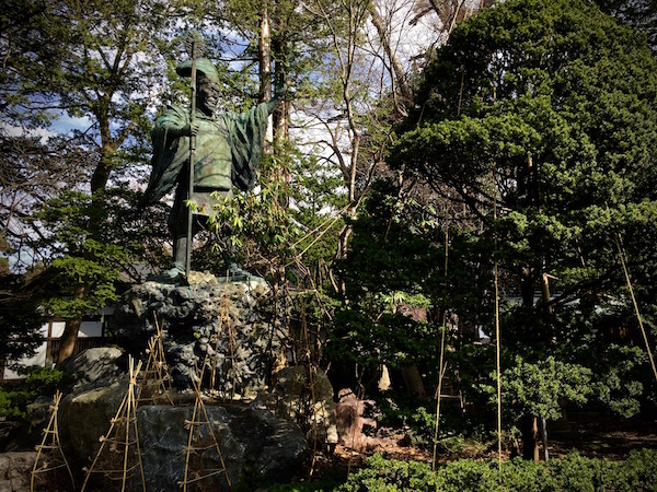 お引越しのご挨拶　桜咲く北海道神宮