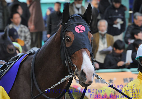 川崎１１R東京中日スポーツ弥生杯　メイショウパーシー