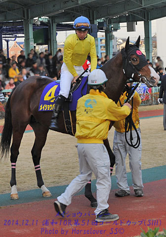 川崎１１R東京中日スポーツ弥生杯　メイショウパーシー