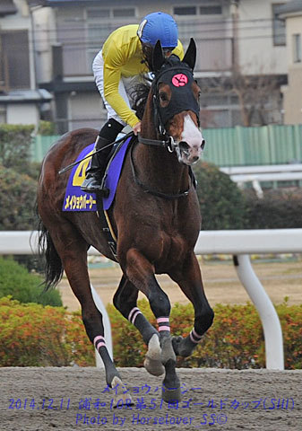 川崎１１R東京中日スポーツ弥生杯　メイショウパーシー