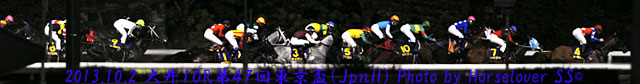第４７回東京盃（ＪｐｎII）　レース写真