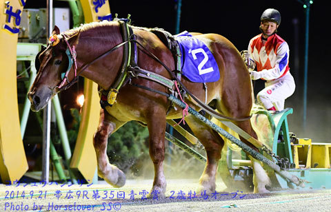 第３５回青雲賞２歳牡馬オープン